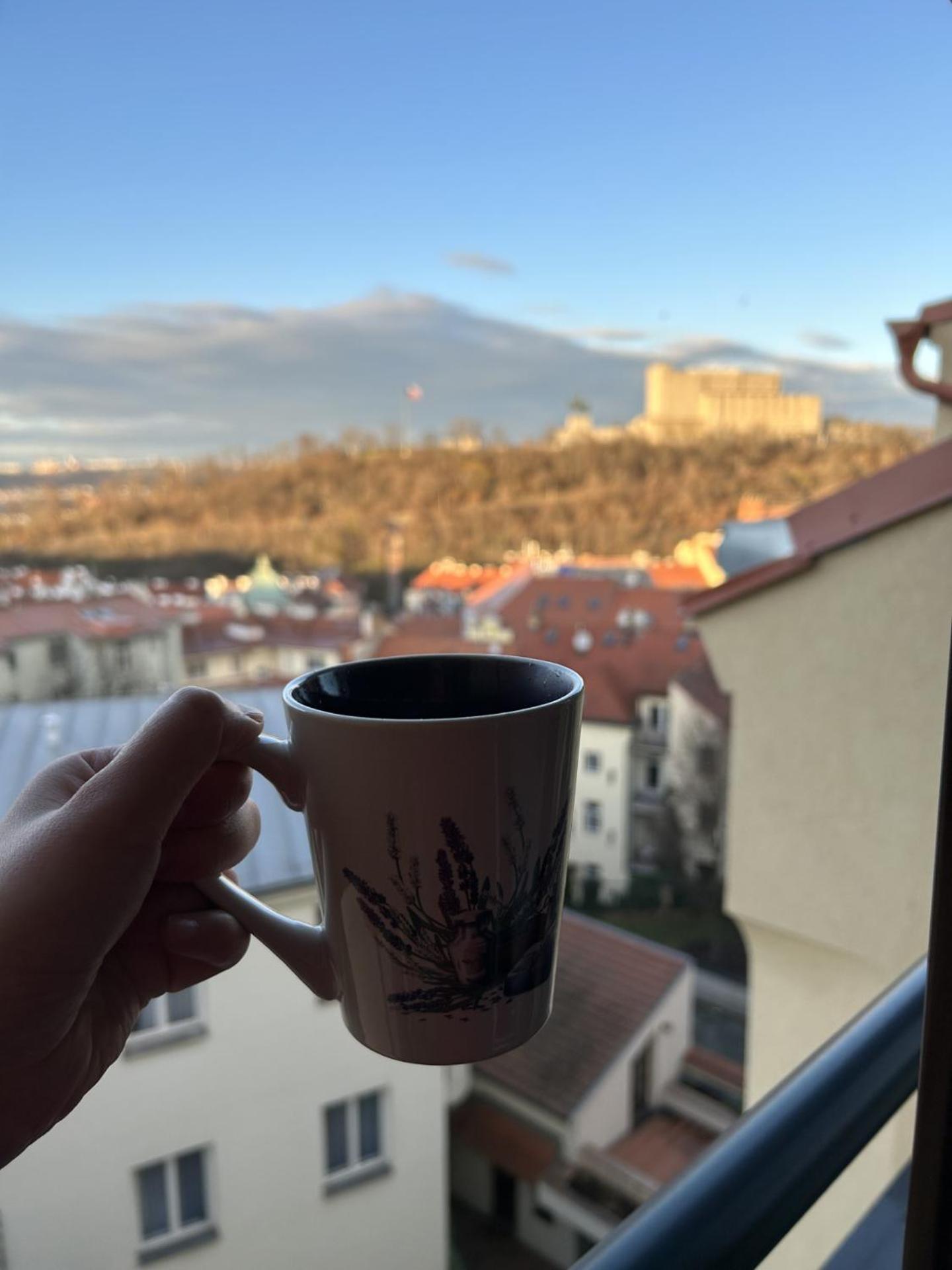 Apartment Cimburkova プラハ エクステリア 写真